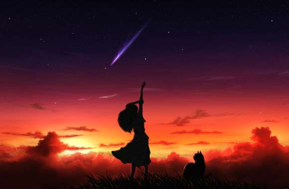 Anime Sunset Sky Shooting Star & Silhouette wallpapers hd quality