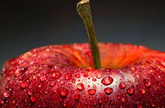 Apple Macro