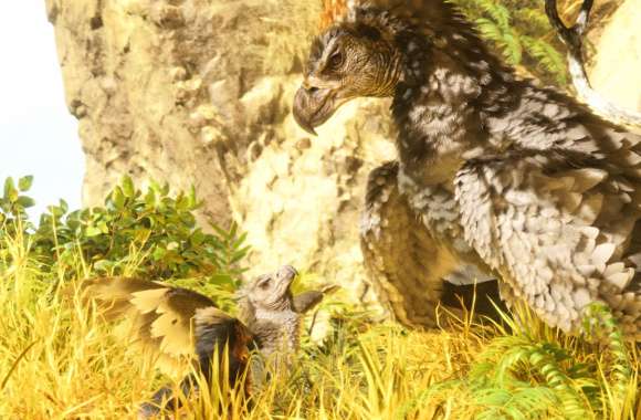 ARK Survival Evolved Majestic Griffins in Wild Habitat