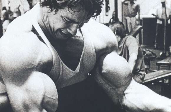 Arnold Schwarzenegger Iconic Workout wallpapers hd quality