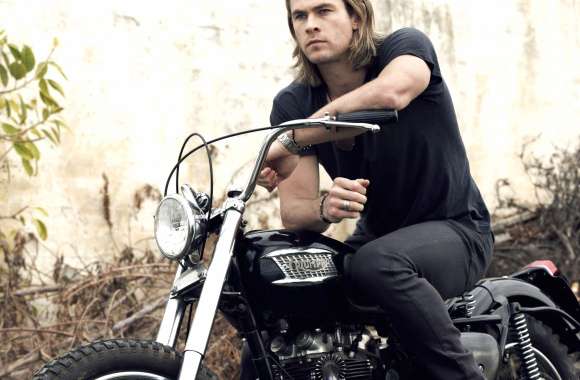 Australian Actor Celebrity Chris Hemsworth