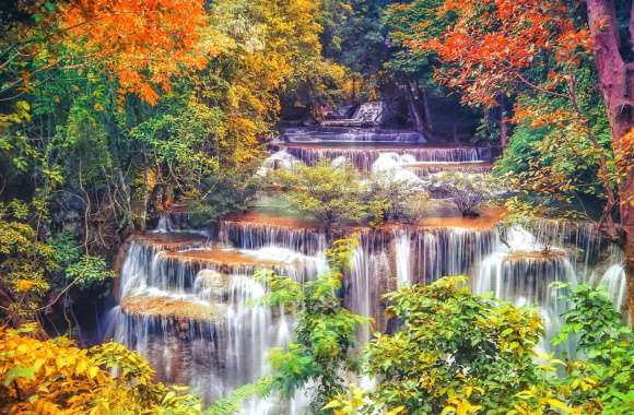 Autumn Forest Waterfall