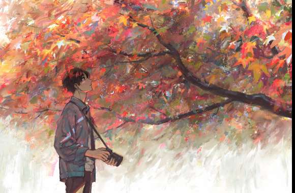 Autumn Serenity HD Anime Boy Wallpaper