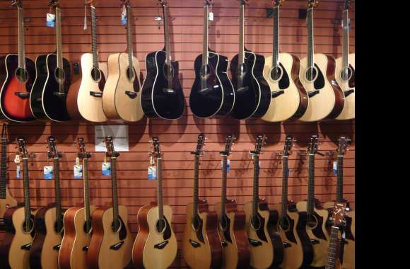 Beautiful Selection of Guitars in a Music Shop