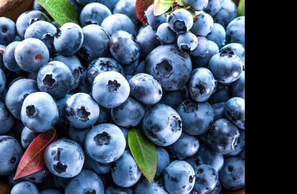 Berry Fruit Food Blueberry 8k Ultra wallpapers hd quality