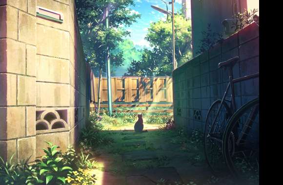Bicycle Tree Shadow Flower Bush Sunlight Cat Anime Original Wallpaper