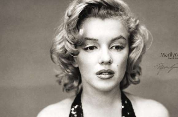 Black & White Celebrity Marilyn Monroe wallpapers hd quality