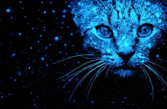 Blue Animal Cat