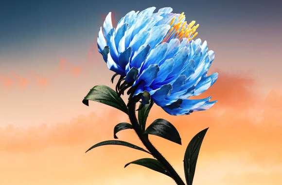 Blue flower Digital Art wallpapers hd quality