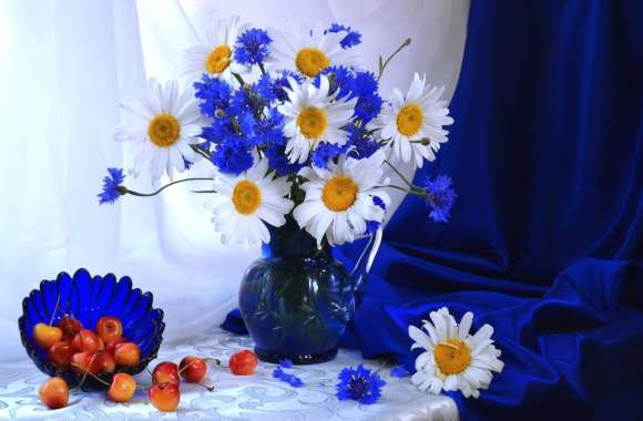 Blue Flower White Flower Blue Cherry Vase Daisy Flower Photography Still Life