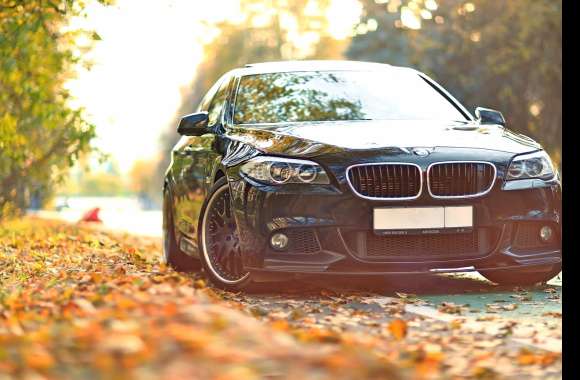 BMW 5 Series Elegance