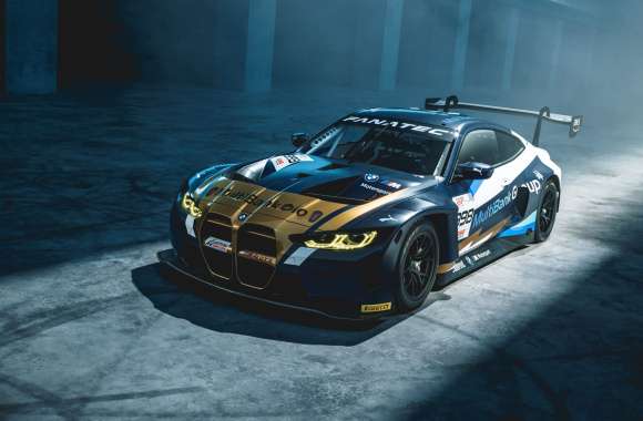 BMW M4 GT3 FIA World Endurance Championship