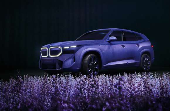 BMW XM Mystique Allure Cannes Special Edition