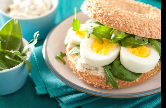 Bread Salad Egg Food Sandwich wallpapers hd quality