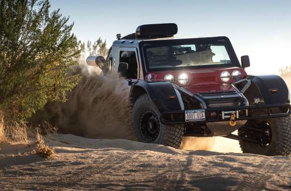 Car Rally Car Off-road Terrain Vehicle Vehicle SCG Boot