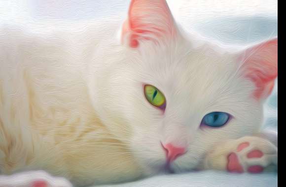 CAT BEAUTY