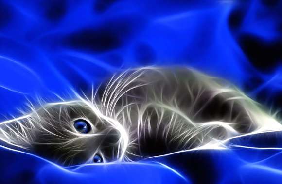 Cat Blue Eyes Kitten Animal Artistic