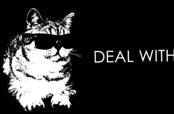 Cat Funny Animal wallpapers hd quality