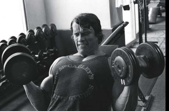 Celebrity Arnold Schwarzenegger