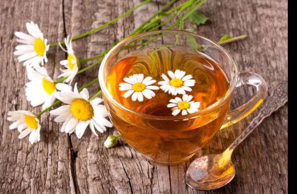 Chamomile White Flower Cup Food Tea