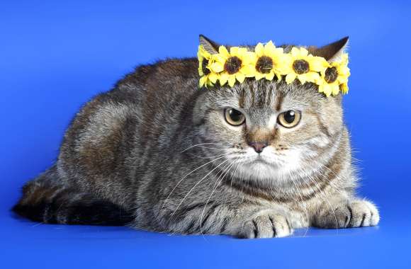 Charming Cat with Sunflower Crown