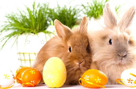 Charming Easter Rabbits wallpapers hd quality