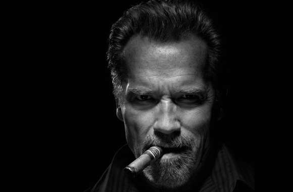 Cigar Face Black & White American Actor Celebrity Arnold Schwarzenegger