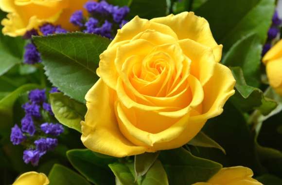 Close-Up of a Yellow Rose in a Bouquet