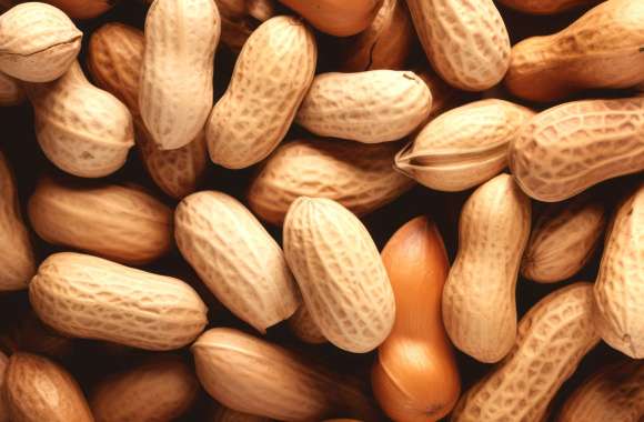 Close-up Peanut Wallpaper wallpapers hd quality