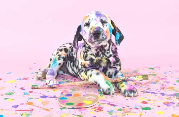 Colorful Dalmatian Puppy wallpapers hd quality