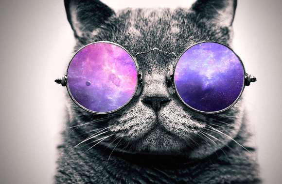 Cool Cat in Cosmic Shades