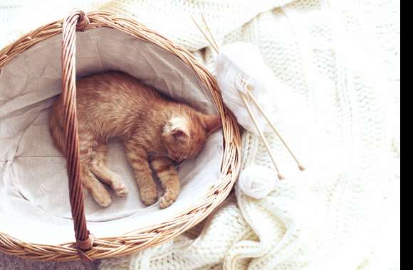 Cute Ba wallpapers hd quality