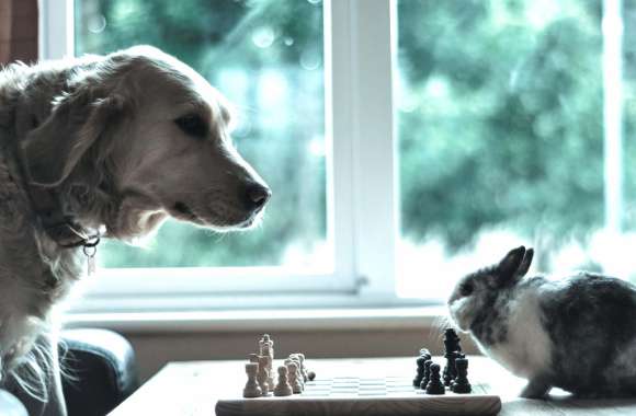 Cute Chess Match Dog vs Rabbit