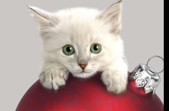 Cute Kitten with Christmas Ornaments -