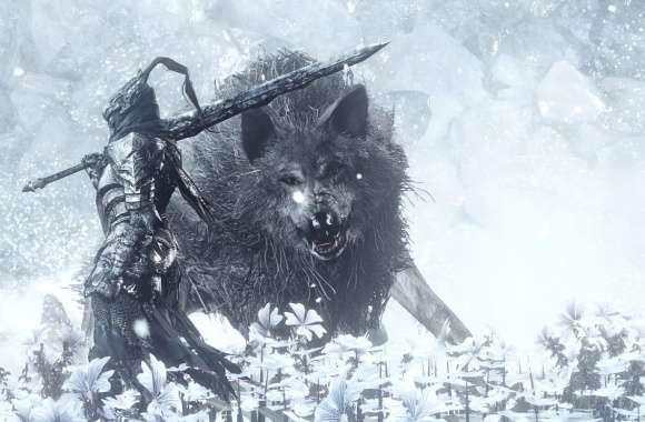 Dark Souls III Wolf in Snow -