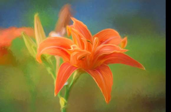 Daylily Oil Painting Orange Flower Flower Nature Lily