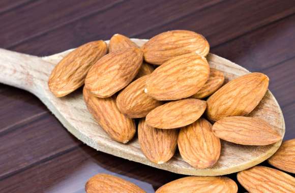 Delicious Almonds - for Food Lovers wallpapers hd quality