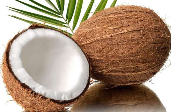 Delicious Coconut Bliss - wallpapers hd quality