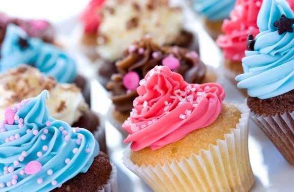 Delicious Cupcake Delight for Food Lovers