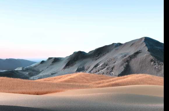 Desert Dunes in