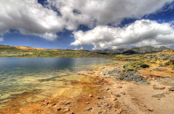 Desert Lake Landscape