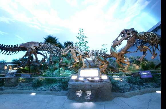 Dinosaur Skeleton Fossil wallpapers hd quality