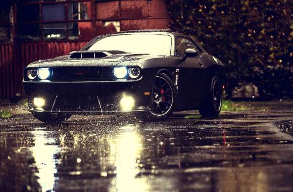 Dodge in the Rain HD Vehicle Wallpaper