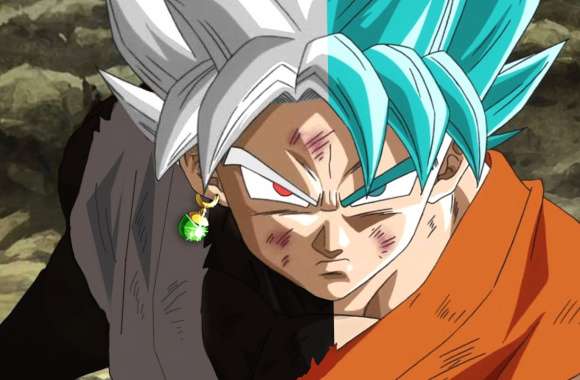 Dragon Ball Super Saiyan Blue vs Black Goku