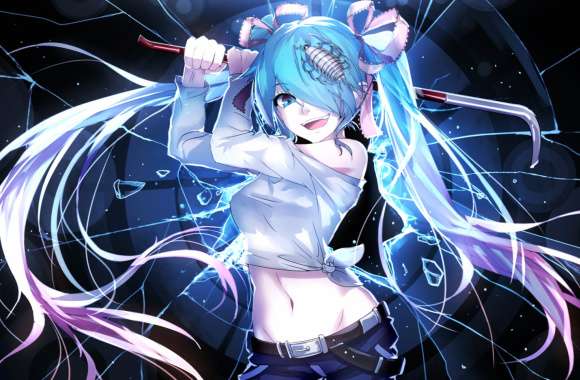 Dynamic Hatsune Miku Anime