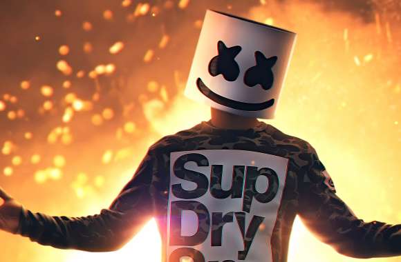 Dynamic Marshmello Concert