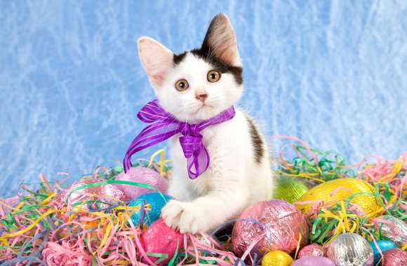 Easter Kitten with Eggs - wallpapers hd quality