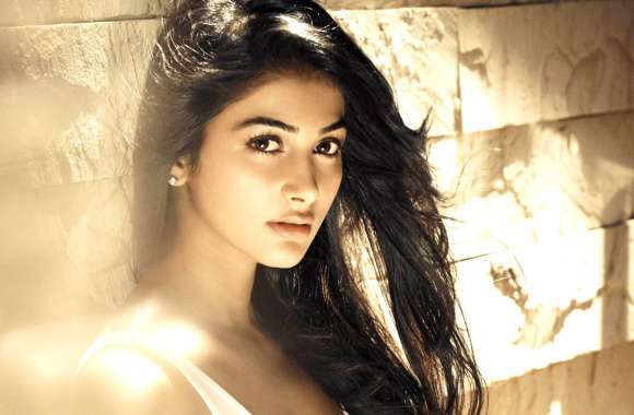 Elegant of Pooja Hegde A Celebrity Icon