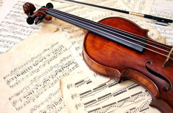 Elegant Violin Music