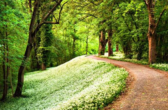 Enchanted Floral Path